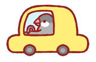 Car Sticker by Dream Hugo