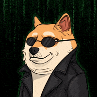 Shiba Inu Illustration GIF by Doge Pound