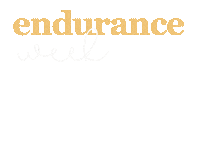 Endurance Streetparking Sticker
