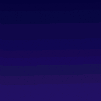 Celebrate New Year GIF by Pudgy Penguins