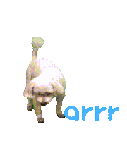 아르르 Sticker by arrr_official