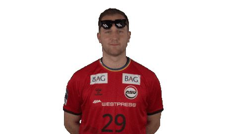 Sport Handball Sticker by LIQUI MOLY HBL