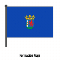 Flag Spain GIF by Formación Ninja