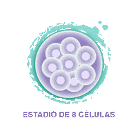 Sticker by Advanced Fertility Center Cancun