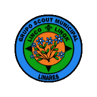 lincolinqk lincolinqk scoutlincolinqk lincoyan Sticker