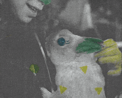 Sound And Vision Bunny GIF by Beeld en Geluid