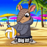 Dig It Beach Volleyball GIF by Chillo Dillo