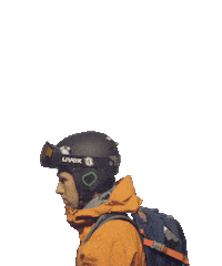 uvex snow winter bmw skiing Sticker