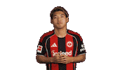 Eintracht Frankfurt Sticker by Bundesliga