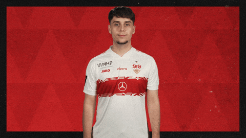 Vfb Stuttgart Football GIF by Bundesliga