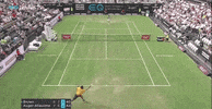 GIF by Tennis Channel