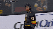 ice hockey what GIF by NHL