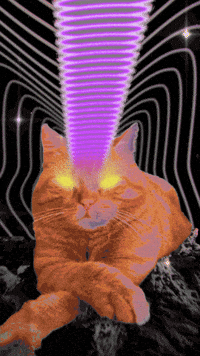 the_real_theory cat trippy orange cat third eye GIF