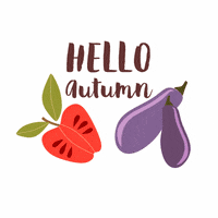annbekka winter apple autumn hat GIF