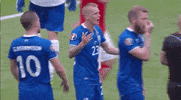 euro 2016 GIF by Sporza
