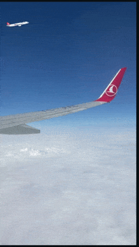 Air Turkishairlines GIF