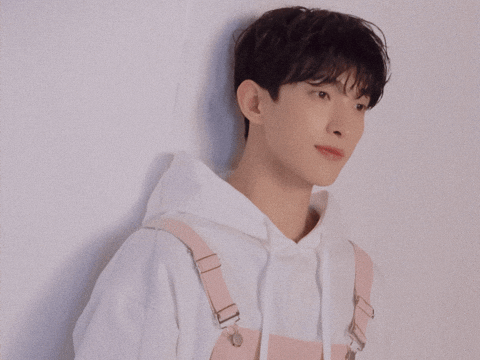 Dk 세븐틴 GIF