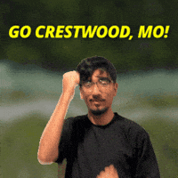St Louis GIF