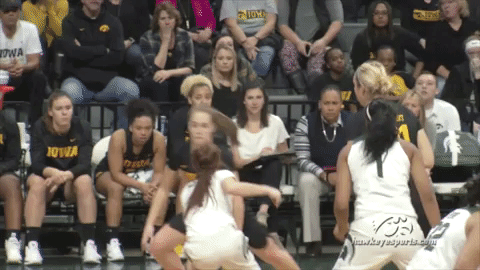 iowa hawkeyes go hawks GIF by University of Iowa Hawkeyes Athletics