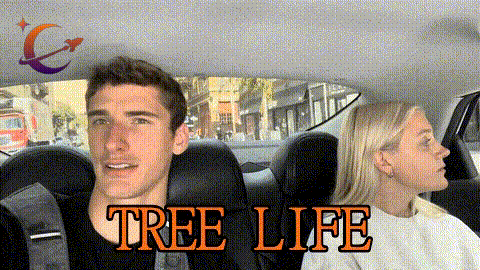 Life Tree GIF by MrMoonMission