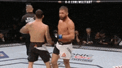 Ufc 205 Mma GIF by UFC
