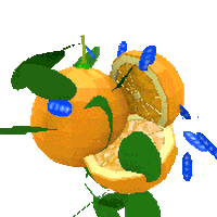 Navel Oranges 3D Sticker by jjjjjohn