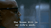 new york city animation GIF by Animals