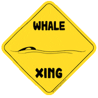 Animal Crossing Wildlife Sticker by Sharing Alaska