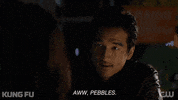 Season 2 Love GIF by CW Kung Fu