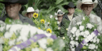#chapo #netflix #narco #politics GIF