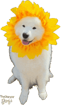 Good Morning Sunshine Sticker