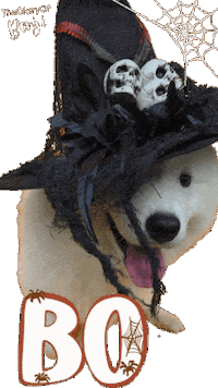 Dog Halloween Sticker