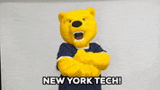 Bear Reaction GIF by New York Institute of Technology (NYIT)