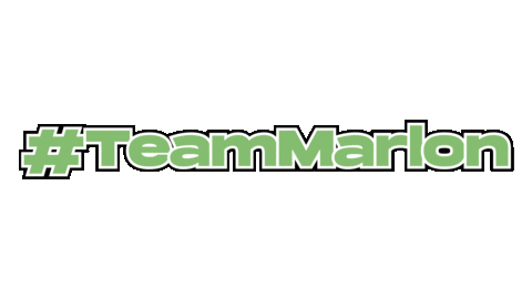 Sfx Teammarlon Sticker by SpiritFX