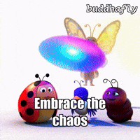Unity Joy GIF by BuddhaFlyJourney