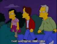 the simpsons episode 25 GIF