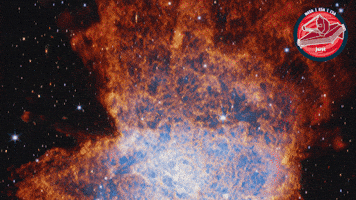 James Webb Nasa GIF by ESA Webb Space Telescope