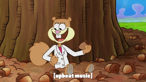 season 9 episode 23 GIF by SpongeBob SquarePants