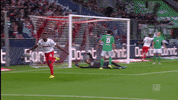 1 Fc Cologne Celebration GIF by 1. FC Köln