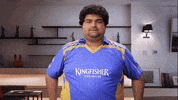 joy cricket GIF by KingfisherWorld