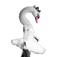 Dance Sticker by EdinburghFringeFestival