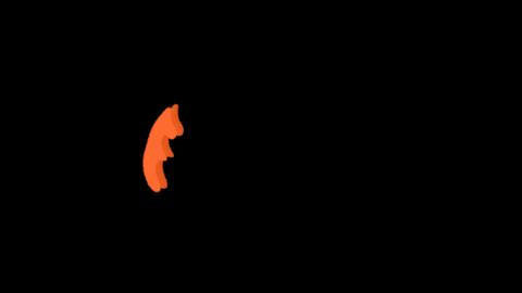 APPkAbyAPPA giphygifmaker appka appkabyappa darujkalorie GIF