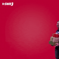 Fall Down Merry Christmas GIF by SWR3