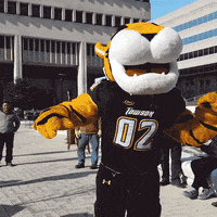Happy Baltimore Ravens GIF by Towson University
