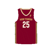 Jewish Sports Basketball Sticker by Yeshiva Har Torah