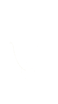 Noetnoet Sticker