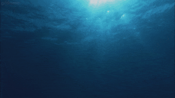 water immerse GIF
