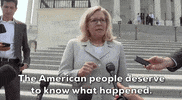 Liz Cheney GIF by GIPHY News