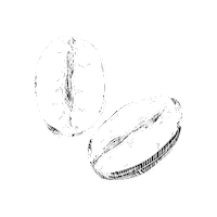 mastertonscoffee coffee coffee bean mastertons Sticker