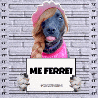 Barbie Movie Dog GIF